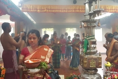 233423816_1191659778015385_5031889935360498425_n