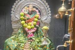 560568888_2252126051968747_3598134813100290143_n