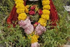 561347757_2252126121968740_113281412954468899_n