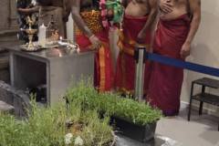 557635732_2242269602954392_507215141525622707_n