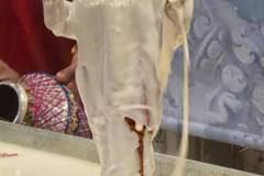 558067301_2242269839621035_2756190738459491279_n