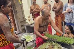 559451882_2242761726238513_5377126943123242259_n