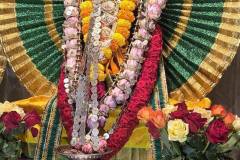 554342497_2235747556939930_5348217842316844508_n