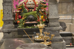 577942607_2274565396391479_4334400170871658993_n