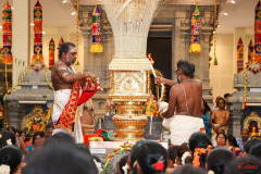 536273336_10161097664046010_915223555718516336_n