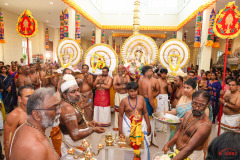 536624785_10161097669786010_6720155839961462536_n