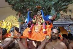 519418925_2177118742802812_6358115074179138269_n