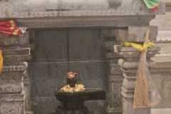 467012140_1981887078992647_5711133281013826844_n