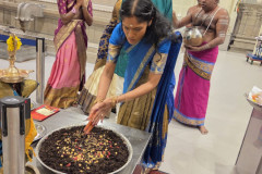 549660975_2233120220535997_4720377250609994743_n