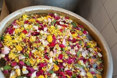 490353514_2094666121048075_7329910424093706482_n