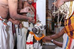 3_Kumbapisekam0022
