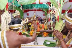 5_Kumbapisekam0009