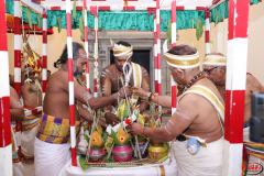 8_Kumbapisekam0001