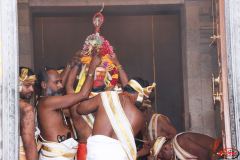 Kumbapisekam0046