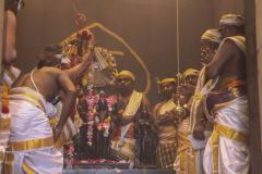 Kumbapisekam0053