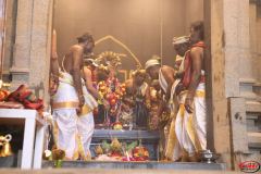 Kumbapisekam0055