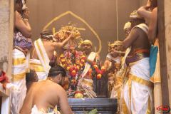 Kumbapisekam0059