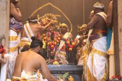 Kumbapisekam0060