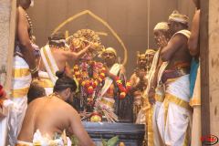Kumbapisekam0061