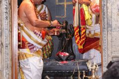 Kumbapisekam0084