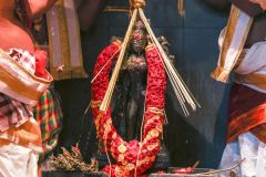 Kumbapisekam0089